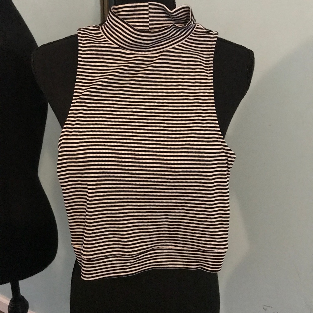 Striped turtleneck cropped top